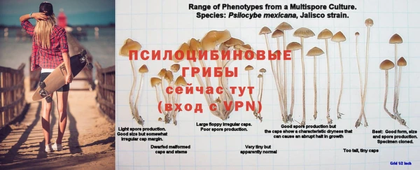 метадон Гусиноозёрск